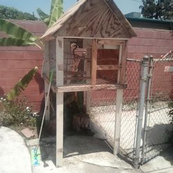 Bird Cage 