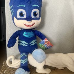 Large pJ Mask Cat Boy 