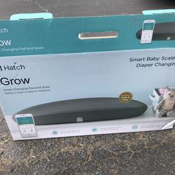 Baby scale/changing pad