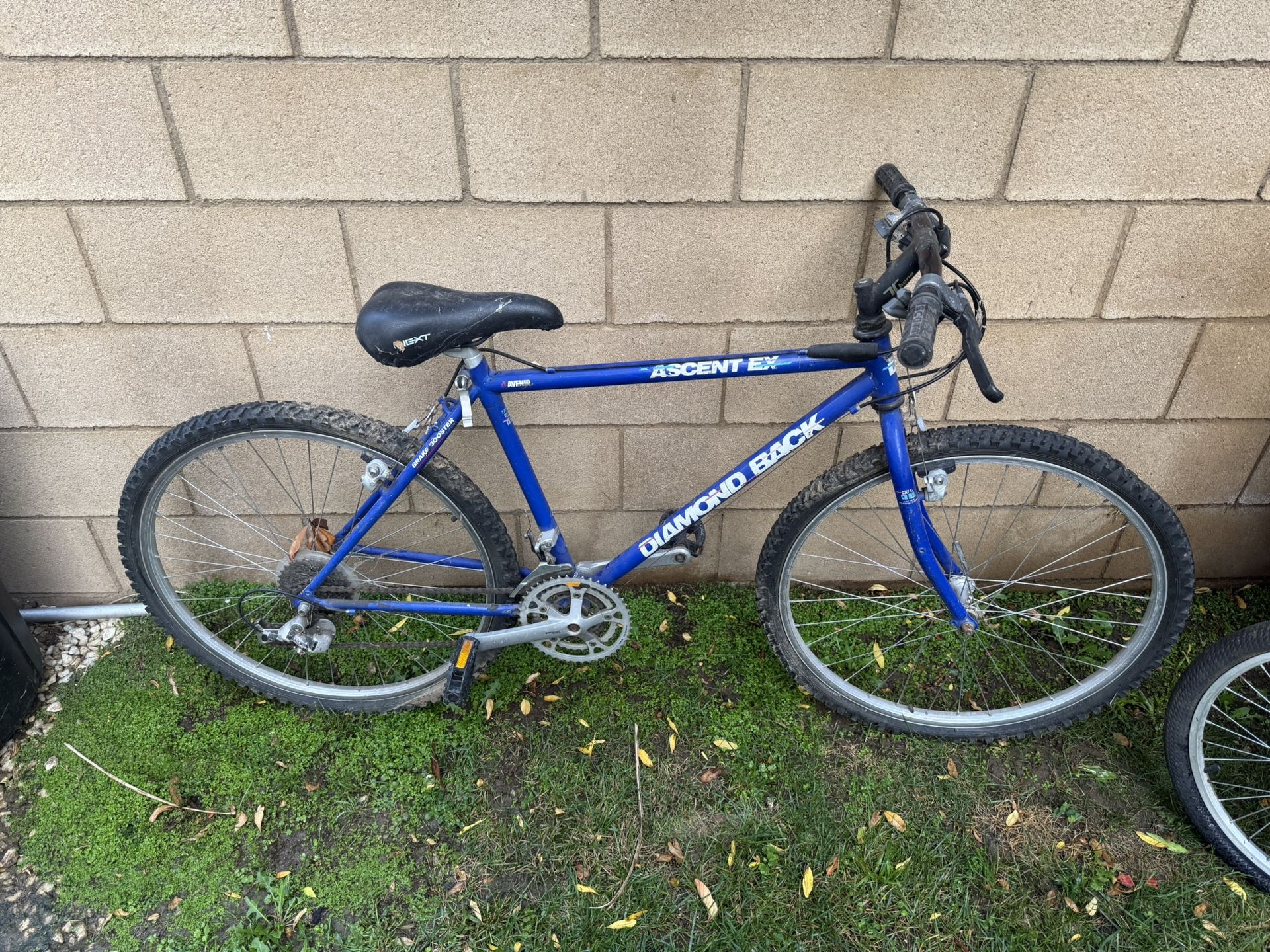 Bicycle 
