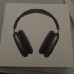 Air pod max