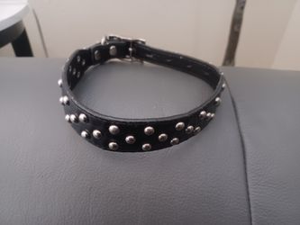 Studded Dog Collar