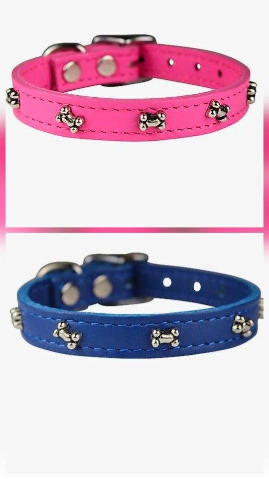 Puppy collars π