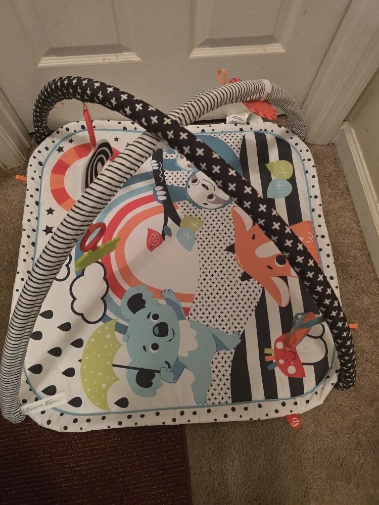 Baby Play Mat 