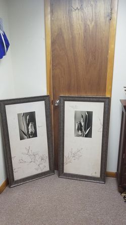 Large complimentary wall pictures