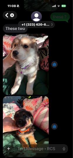 For sale