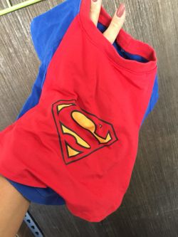 Small dog Superman Halloween costume