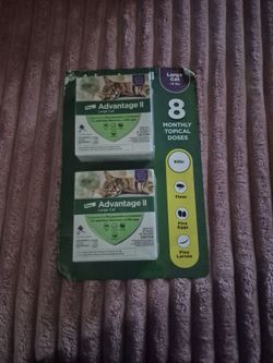 For cat  fleas