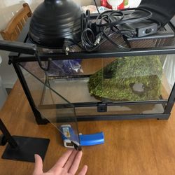 Reptile Enclosure 