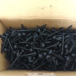 1000 CSH Pocket Hole screws.  #8 x 1-1/4 Inch.