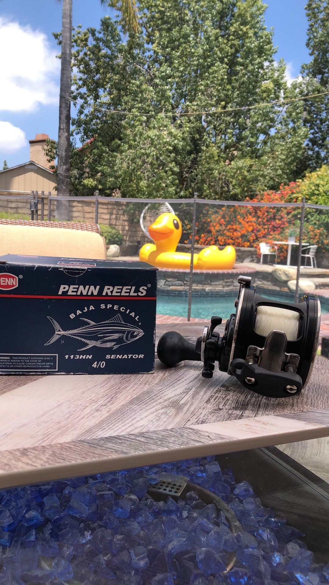 Penn "BAJA SPECIAL 113HN SENATOR 4/O" Saltwater Fishing Reel