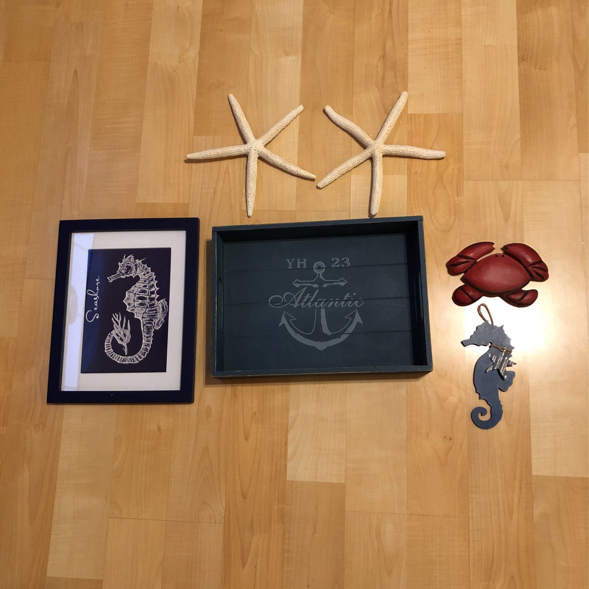 Ocean Theme Decorations 