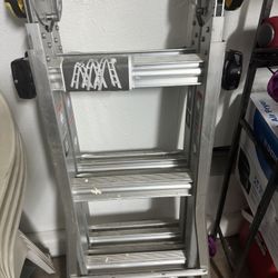 Gorilla New Ladders 🪜 