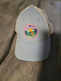 North face and Patagonia caps $ 30 for both