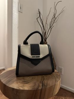 Purse (Steve Madden) $20