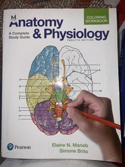 Anatomy and Physiology Coloring Workshop