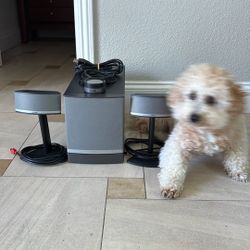 Bose Companion 5 Multimedia Speaker System 