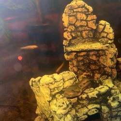 Elephant trunk snake decor