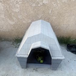 Dog House