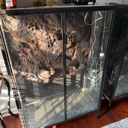 Large Plant Terrarium 