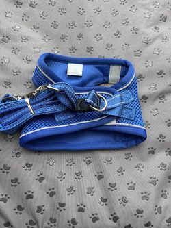 Dog Harness with Leash Set,