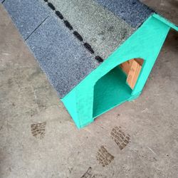 Dog House 