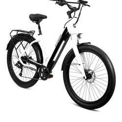 Schwinn  Coston dx 