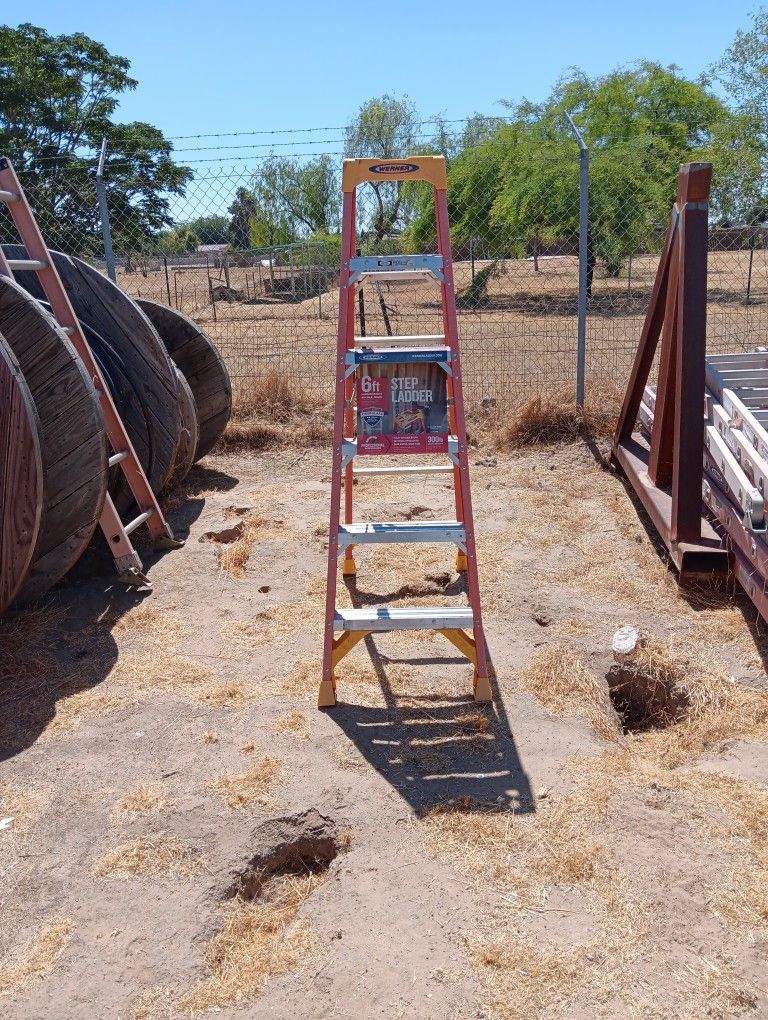 6ft Ladder