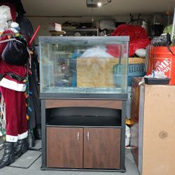 Huge 65 Gallon Aquarium With Stand+