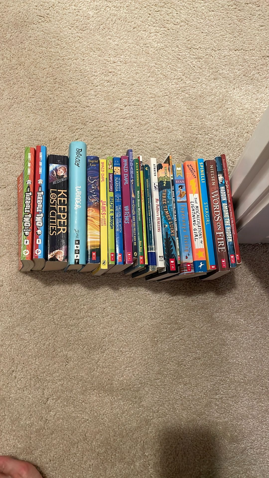 Chapter Books For Elementary/Middle School Reader