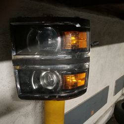 Head Light