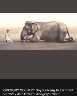 Gregory Colbert Boy Reading To Elephant Framed