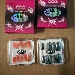 2 THE MICROCHIP MANICURE Nails New