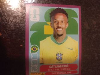 Panini sticker