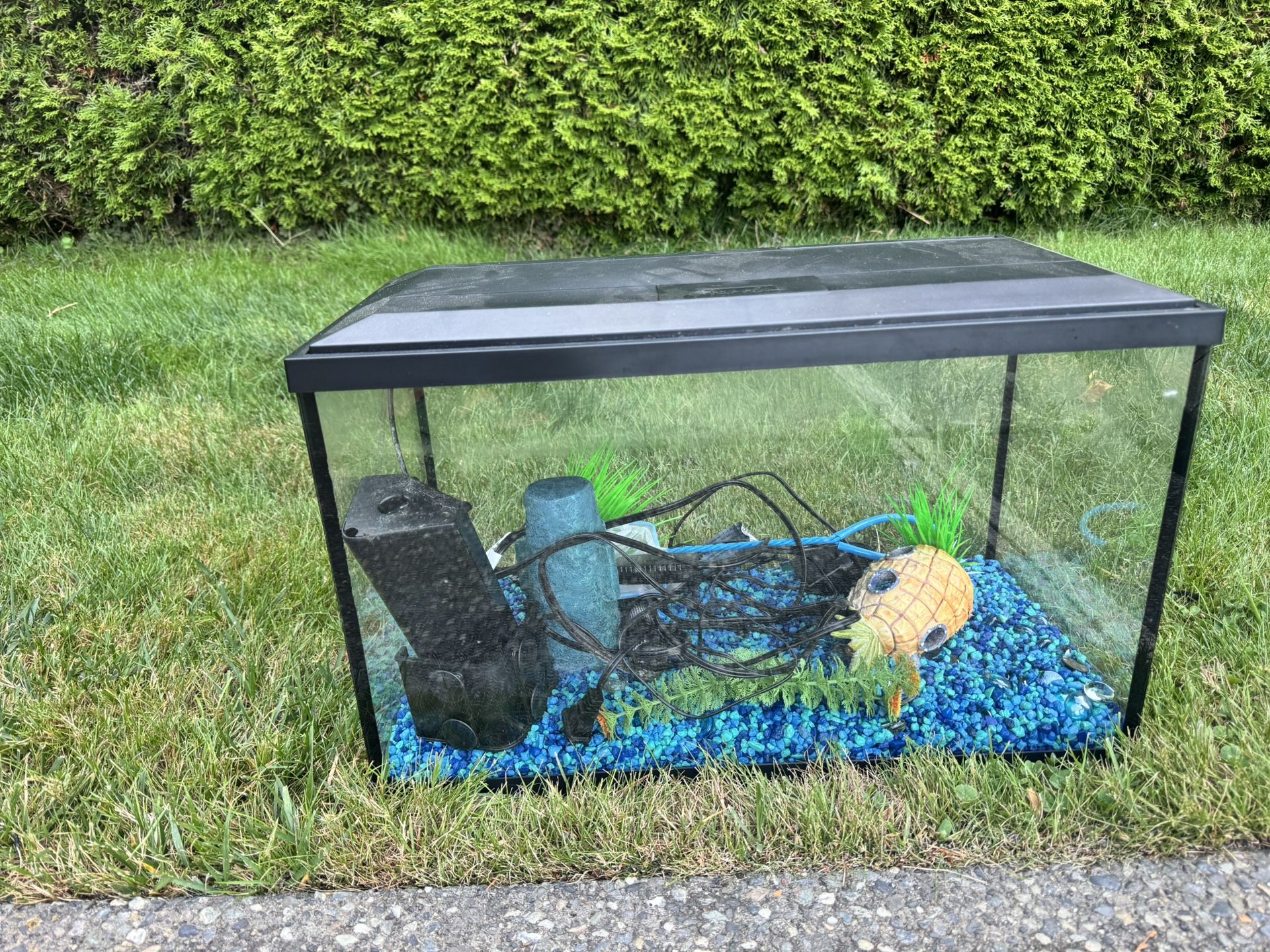 Fish tank 
