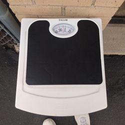 Bathroom Scale 