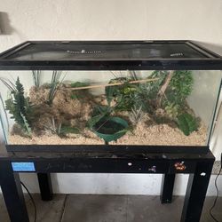 40g tank