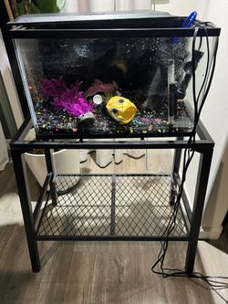 10 Gal Fish Tank With Stand