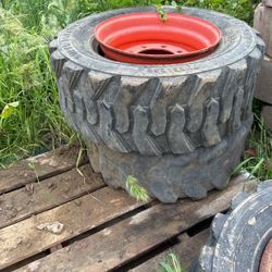 Bobcat rims with old tires
