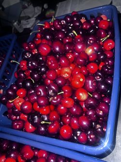 Juicy Cherries🍒🍒🍒🍒🍒