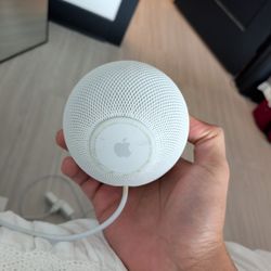 Apple Home Pod