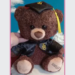 Graduation Teddy Bear New