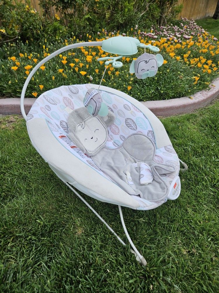 Baby Bouncer