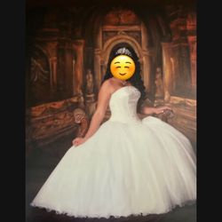 Quinceañera/Wedding Dress 