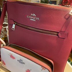Crossbody Coach y Wallet