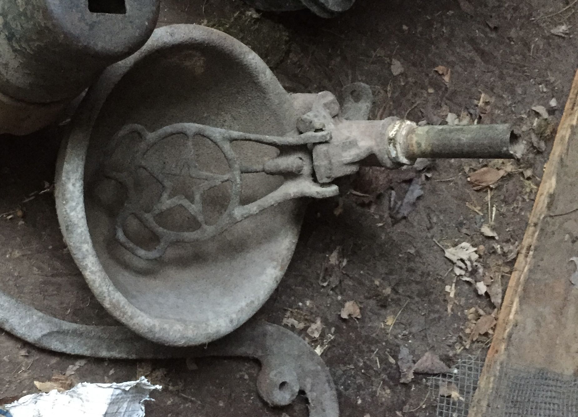 Cow Water Feed