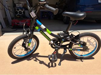 Guardian 14 Inch Bike - Blue Green