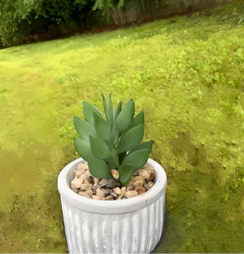 Artificial Potted Succulent Plant 