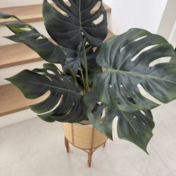 Artificial Plant & Stand