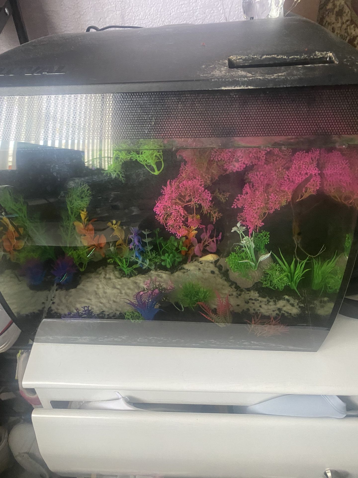 Fluval Flex Fish Tank 15 Gallons